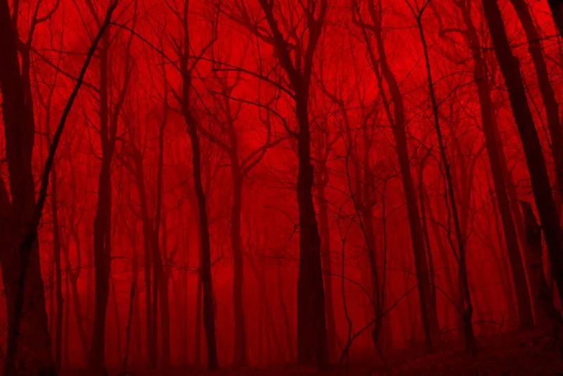 File:Nightmare3.webp